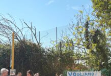 Stanga sott’acqua per la pompa non funzionante, Gennaro (FdI) torna sul posto: “Comune arrivi ai fatti e risarcisca i residenti” Stanga