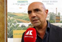 Tabacco, Scordamaglia (Filiera Italia): “Accordo Philip Morris ha anticipato in 15 anni oltre 13 mld di valore aggiunto”