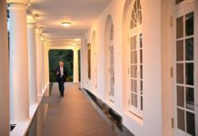 Trump, cena privata alla Casa Bianca con il capo di Anthropic Amodei: disgelo sull’AI?