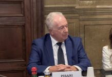 Tumore rinofaringeo, Pisani (Ailar): “Necessari percorsi multidisciplinari e centralità del paziente”