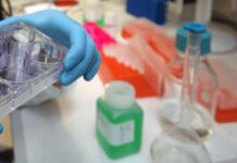 Tumori, al via studio per ridurre rischio recidive da cancro al seno