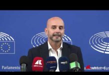 Ue-Canada, Procaccini (FdI): “Incomprensibile ‘special membership’, così si va contro gli Usa”