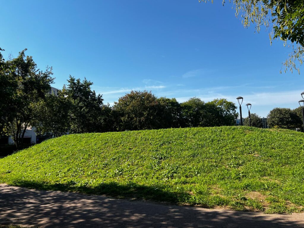 parco città