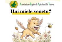 Nasce il Concorso Mieli del Veneto: premi alla qualità dalle montagne alle lagune Concorso Mieli del Veneto