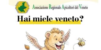 Nasce il Concorso Mieli del Veneto: premi alla qualità dalle montagne alle lagune Concorso Mieli del Veneto