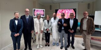Ospedale di Arzignano, nuovo monitor 3D/4K per rendere più precisa la chirurgia vicentina monitor 3D/4K Arzignano