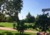 Bassano Città dello Sport celebra vent’anni con famiglie e associazioni del territorio Bassano Città dello Sport con attività per i giovani