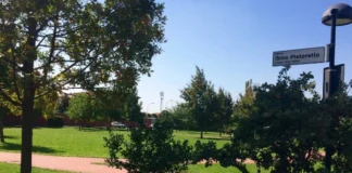 Bassano Città dello Sport celebra vent’anni con famiglie e associazioni del territorio Bassano Città dello Sport con attività per i giovani