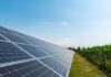 Agrifotovoltaico a Bolzano Vicentino, Szumski e Lovat incalzano ancora la Regione Agrifotovoltaico a Bolzano Vicentino, pannelli solari su terreno agricolo