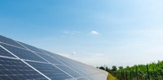 Agrifotovoltaico a Bolzano Vicentino, Szumski e Lovat incalzano ancora la Regione Agrifotovoltaico a Bolzano Vicentino, pannelli solari su terreno agricolo