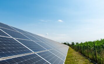 Agrifotovoltaico a Bolzano Vicentino, Szumski e Lovat incalzano ancora la Regione Agrifotovoltaico a Bolzano Vicentino, pannelli solari su terreno agricolo