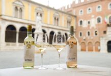 Vino e università, nasce il premio di laurea Giuseppe Catarin dedicato al Nord-Est Premio di laurea Giuseppe Catarin per il settore del vino