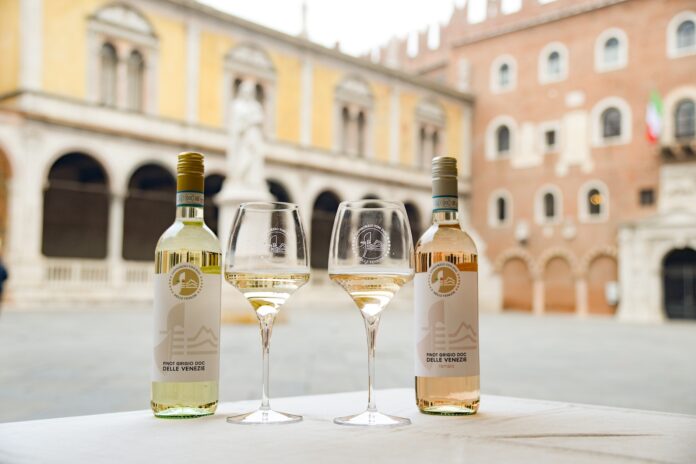 Premio Giuseppe Catarin del Consorzio DOC Delle Venezie Premio di laurea Giuseppe Catarin per il settore del vino
