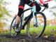 Trofeo Triveneto Ciclocross, quattordici tappe e la Coppa Italia giovanile in Veneto Trofeo Triveneto Ciclocross su un percorso sterrato