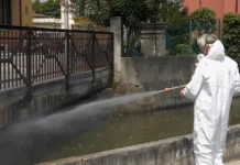 Dengue a Cartigliano, caso importato: disinfestazione straordinaria in via Don Sturzo Dengue a Cartigliano, intervento di disinfestazione straordinaria