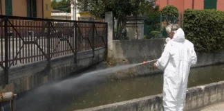 Dengue a Cartigliano, caso importato: disinfestazione straordinaria in via Don Sturzo Dengue a Cartigliano, intervento di disinfestazione straordinaria