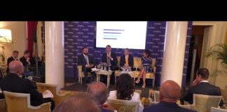 Costo energia per le imprese, Bitonci propone un distretto manifatturiero del Nord Costo energia imprese, confronto sulla competitività