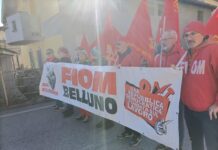 Epta Limana, Fiom contesta il licenziamento della lavoratrice che assisteva la madre Licenziamento Epta Limana, rappresentanti della Fiom Belluno