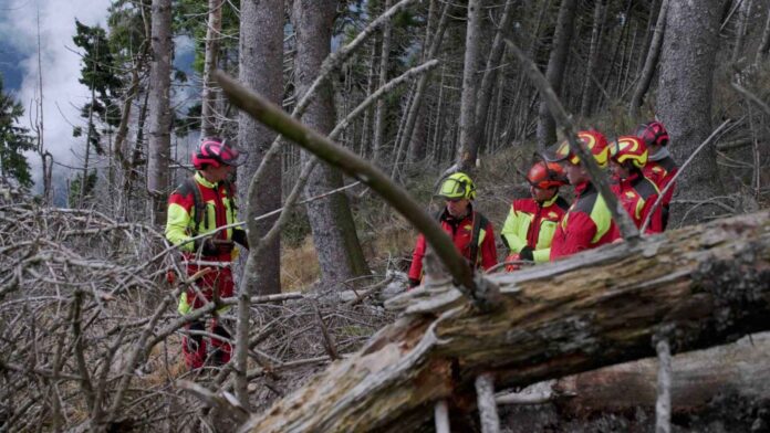 Forest, formazione forestale nei boschi dell’Altopiano Forest documentario ad Asiago sul lavoro nel bosco