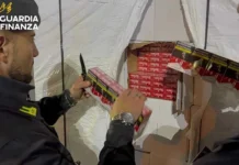 Contrabbando al porto di Civitavecchia, sequestrati 8,6 chili di tabacchi dall’Algeria Contrabbando di tabacchi a Civitavecchia, controllo della Guardia di Finanza