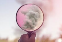Greenwashing, dal 27 settembre nuove regole per pubblicità ed etichette ambientali Nuove regole sul greenwashing per pubblicità ed etichette
