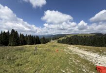 Melette 2000, la pista da sci rinasce con fieno e semi dei prati dell’Altopiano vicentino Recupero ambientale Melette 2000 con fieno e semi locali