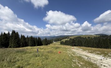 Melette 2000, la pista da sci rinasce con fieno e semi dei prati dell’Altopiano vicentino Recupero ambientale Melette 2000 con fieno e semi locali