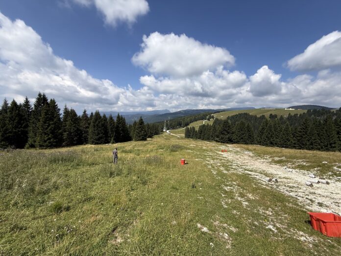 Recupero ambientale della pista Melette 2000 Recupero ambientale Melette 2000 con fieno e semi locali