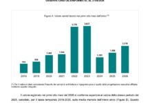 Gare di ingegneria e architettura, domanda pubblica in crescita del 34 per cento Gare di ingegneria e architettura, valore 2026