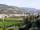 Not(t)e in Valpantena, Finardi e Cacciapaglia tra musica, vino e paesaggio a Grezzana Not(t)e in Valpantena nel paesaggio di Grezzana