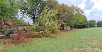 Parco Querini, chiuso il viale storico alberato per verifiche sulla stabilità delle piante Viale di Parco Querini lungo viale Rumor