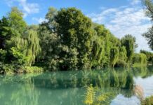 Parco del Sile, Loris Cirotto nuovo presidente: nominato anche il consiglio direttivo Presidente del Parco del Sile e paesaggio fluviale protetto