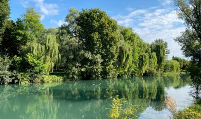 Presidente del Parco del Sile e paesaggio fluviale protetto