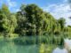 Parco del Sile, Loris Cirotto nuovo presidente: nominato anche il consiglio direttivo Presidente del Parco del Sile e paesaggio fluviale protetto