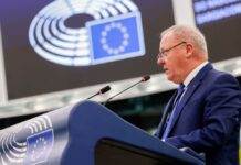 Clima e incendi, scontro veneto a Strasburgo tra Guarda e Berlato sulle politiche Ue Scontro veneto sul clima, Sergio Berlato in plenaria europea