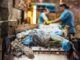 Crisi del riciclo della plastica, Plastic Free: raccolta a rischio in molti territori Crisi del riciclo della plastica e raccolta