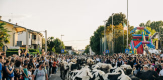 Transumando Bressanvido 2026: mandria in arrivo e forma gigante di Asiago Dop da record Transumando Bressanvido 2026, arrivo della mandria