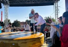 Transumanza di Bressanvido, migliaia in festa e forma gigante di Asiago Dop solidale Transumanza di Bressanvido e taglio della forma gigante di Asiago Dop