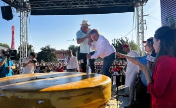 Transumanza di Bressanvido, migliaia in festa e forma gigante di Asiago Dop solidale Transumanza di Bressanvido e taglio della forma gigante di Asiago Dop