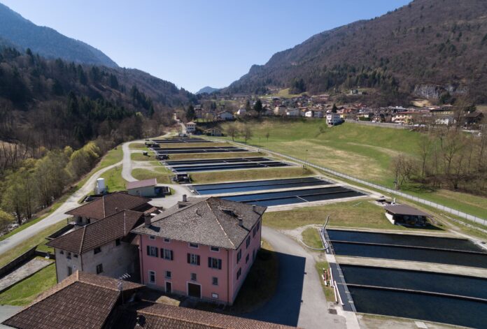 Impianto di acquacoltura italiana colpito dal caldo acquacoltura italiana caldo impianto di troticoltura