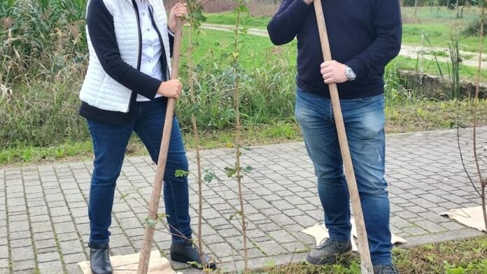 Piantumazione di nuovi alberi promossa da Uilca Veneto Un iscritto un albero Uilca Veneto durante la piantumazione