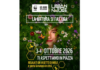 Urban Nature a Vicenza, due giornate con il Wwf tra corso Palladio e Stagni di Casale Urban Nature a Vicenza, festival Wwf della natura in città