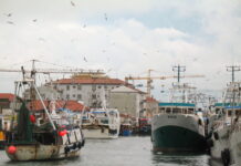 Pesca veneta, l’appello dei pescatori a Chioggia: Morosin chiede risorse e nuove regole UE Pesca veneta, pescherecci ormeggiati nel canale San Domenico a Chioggia