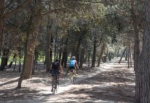 Vicenza-Dueville in bici per la Radioterapia: sabato torna «Pedaliamo per la cura» Pedaliamo per la cura: due persone in bicicletta in una foto di repertorio