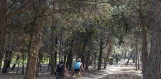 Vicenza-Dueville in bici per la Radioterapia: sabato torna «Pedaliamo per la cura» Pedaliamo per la cura: due persone in bicicletta in una foto di repertorio