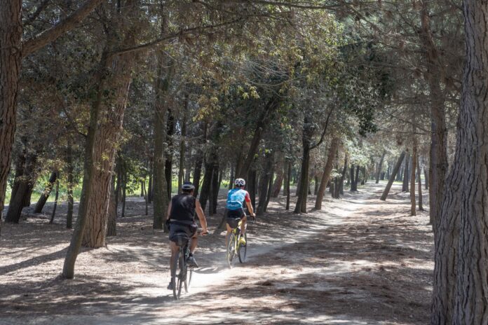 Due ciclisti lungo un percorso alberato, immagine di repertorio Pedaliamo per la cura: due persone in bicicletta in una foto di repertorio