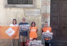Caccia, protesta LAV a Vicenza davanti alla Prefettura: appello alla deputata Caretta sul ddl Protesta LAV a Vicenza davanti alla Prefettura contro il ddl caccia