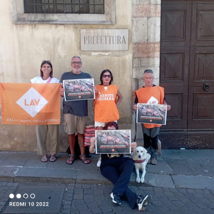 Attivisti LAV davanti alla Prefettura di Vicenza Protesta LAV a Vicenza davanti alla Prefettura contro il ddl caccia