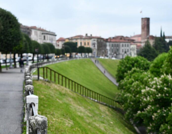 Viale dei Martiri a Bassano del Grappa, immagine di repertorio Martiri del Grappa: viale dei Martiri a Bassano del Grappa in una fotografia d'archivio