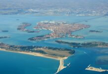 Miele di barena della laguna veneta, il nuovo Presidio Slow Food debutta a Torino Miele di barena della laguna veneta, ambiente di produzione